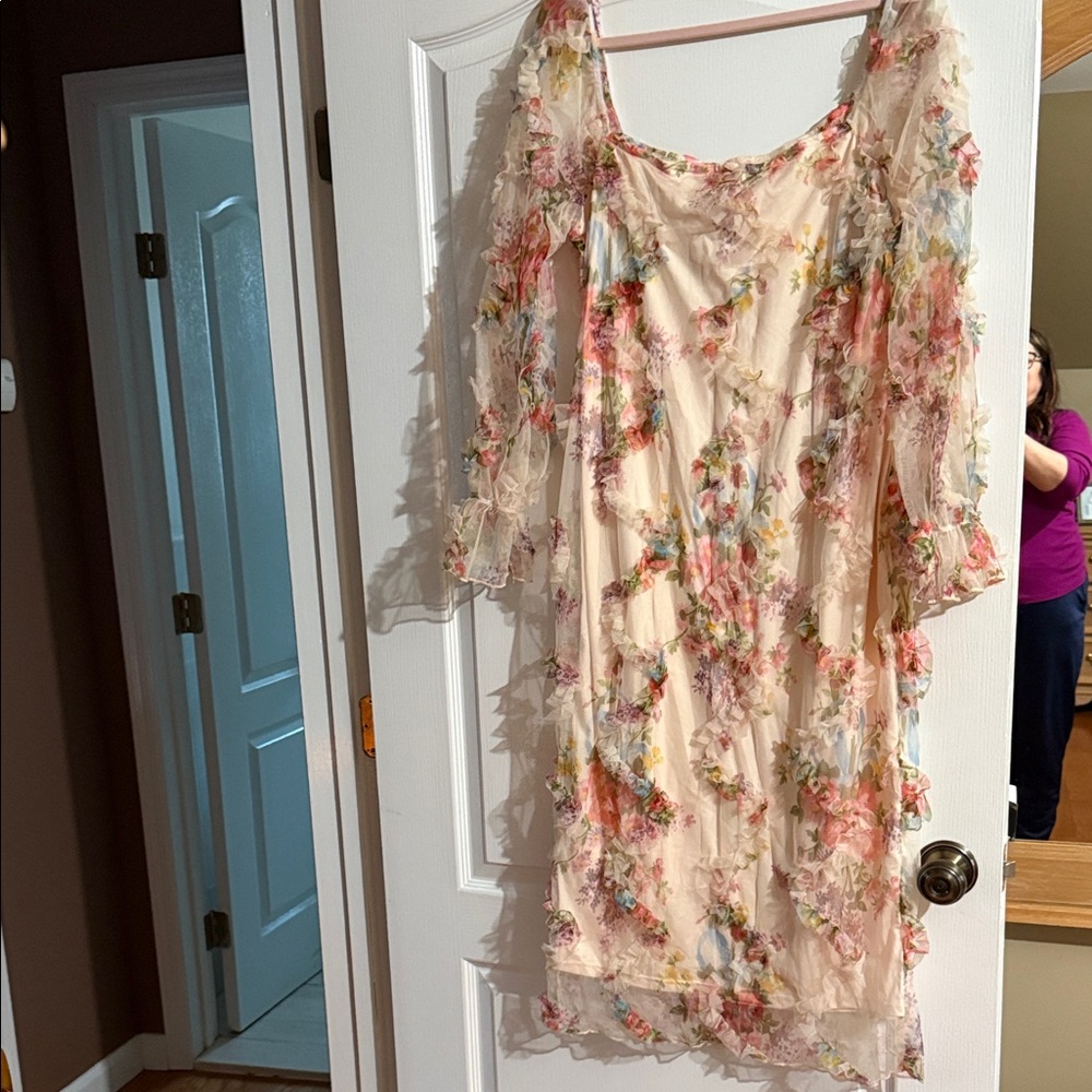 Floral Sheer Dress with Ruffle Details